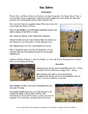Zebra-Steckbrief.pdf